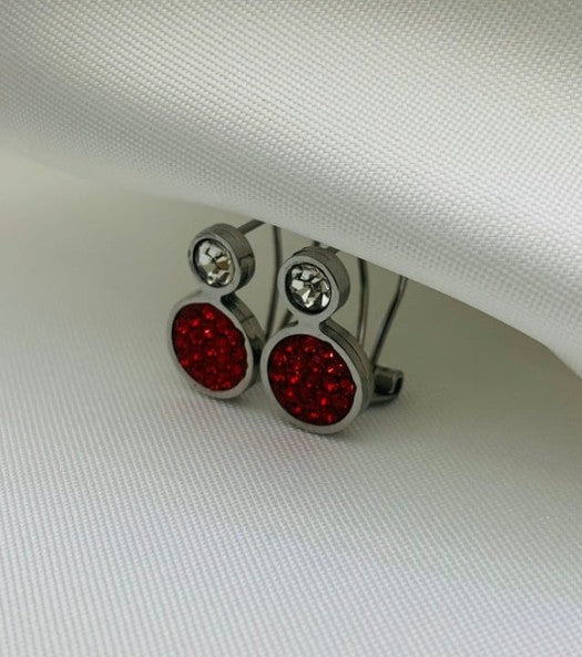 ARETE MICRO CIRCONES ROJO EN ACERO