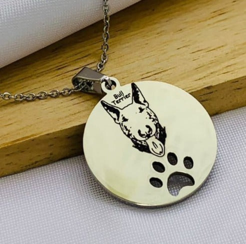 DUO PLACA PERRO HUELLA PLATEADO ACERO INOXIDABLE