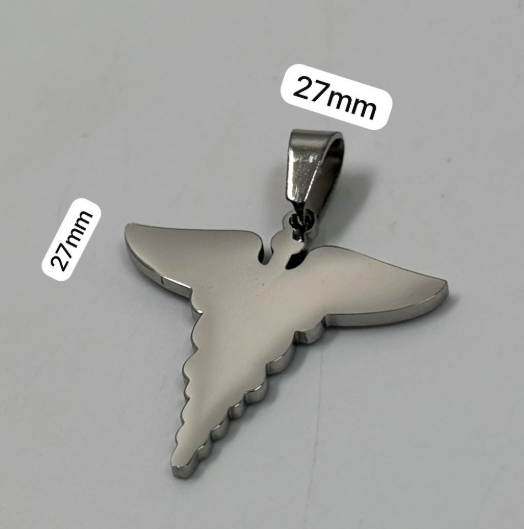 PLACA ACERO INOXIDABLE MEDICINA