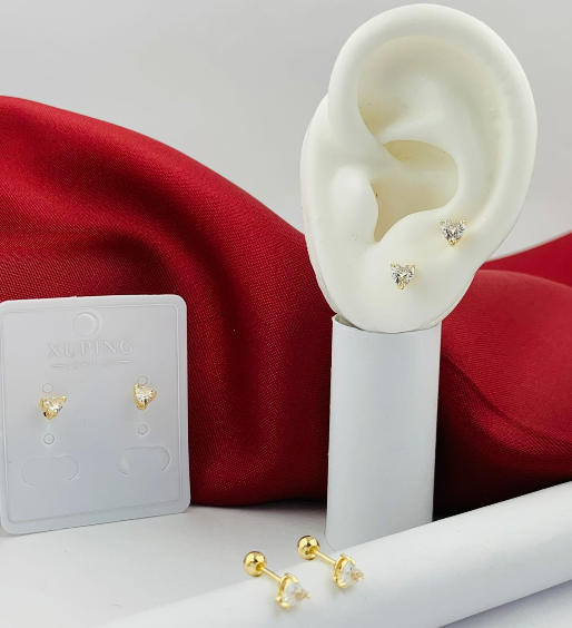 TOPO RODIO SEGURIDAD