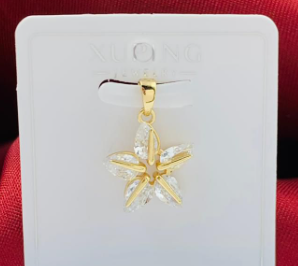 DIJE RODIO ESTRELLA DORADO CIRCON