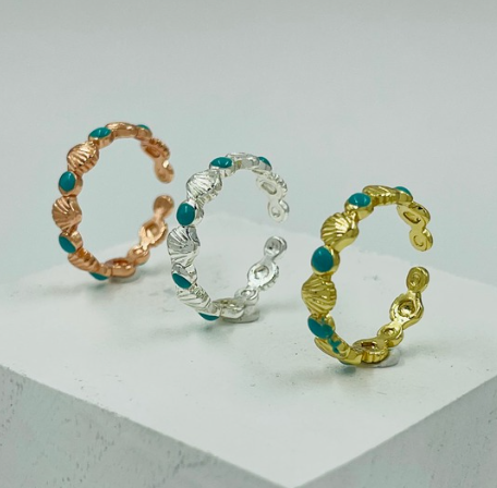 ANILLO RODIO PINTURA