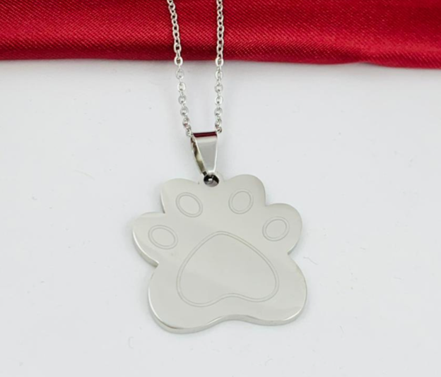 DUO ACERO INOXIDABLE HUELLA PERRO PLACA PLATEADO