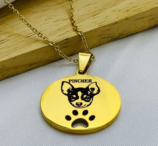 DUO PLACA PERRO HUELLA DORADO ACERO INOXIDABLE