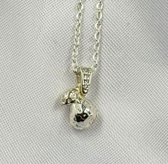 DUO RODIO BOLSA DINERO (CI)