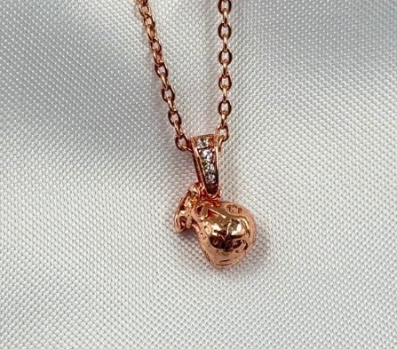 DUO RODIO BOLSA DINERO (CI)